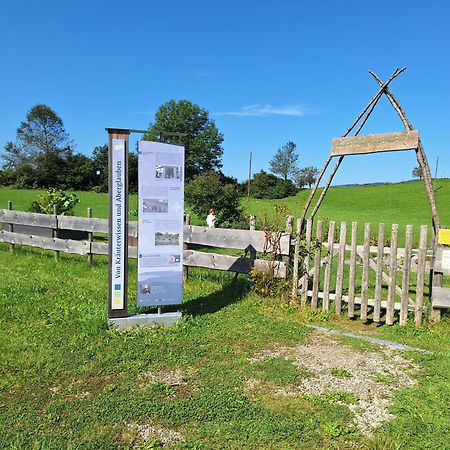 Fewo Allgaeuerle1605 Mit Hallenbad, Sauna, Tiefgarage Und Wlan Missen-Wilhams Kültér fotó