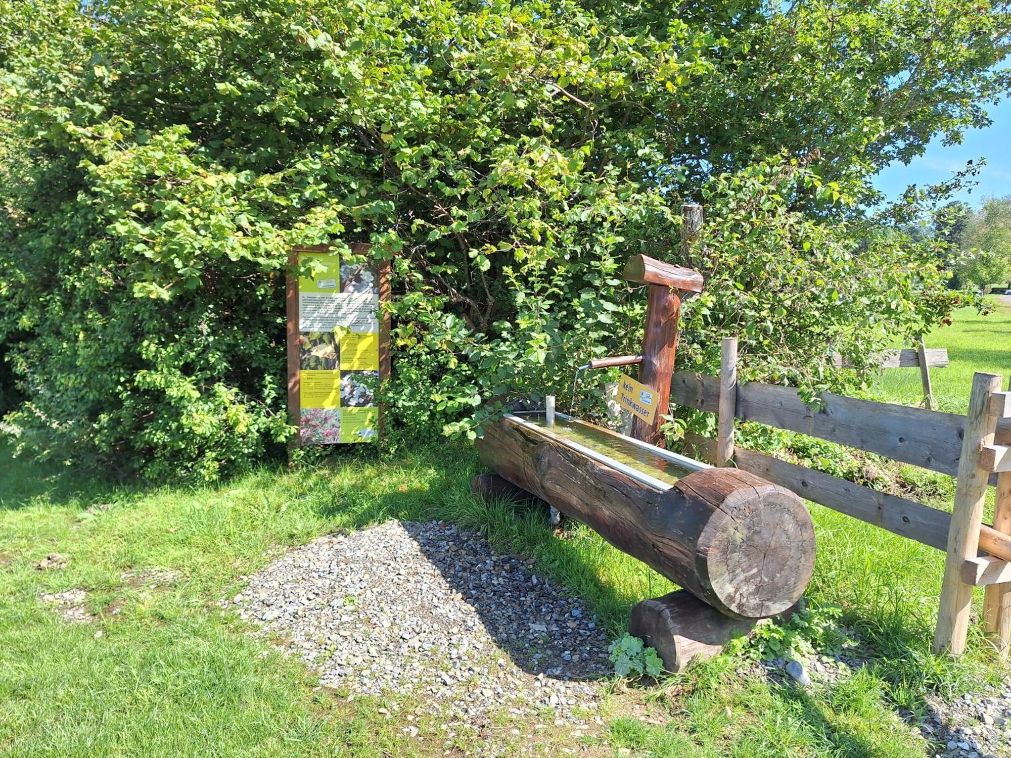 Fewo Allgaeuerle1605 Mit Hallenbad, Sauna, Tiefgarage Und Wlan Missen-Wilhams Kültér fotó