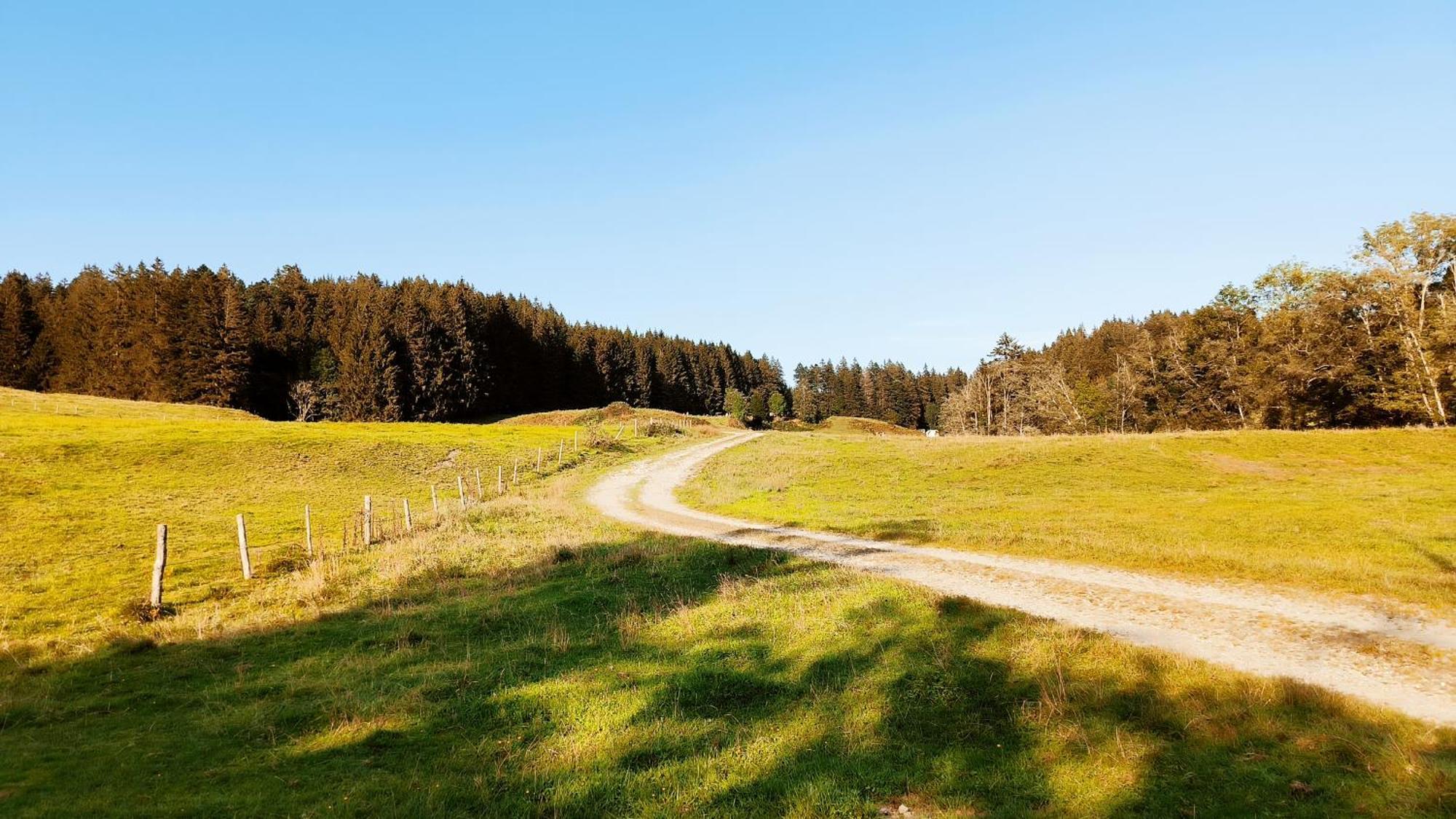 Fewo Allgaeuerle1605 Mit Hallenbad, Sauna, Tiefgarage Und Wlan Missen-Wilhams Kültér fotó