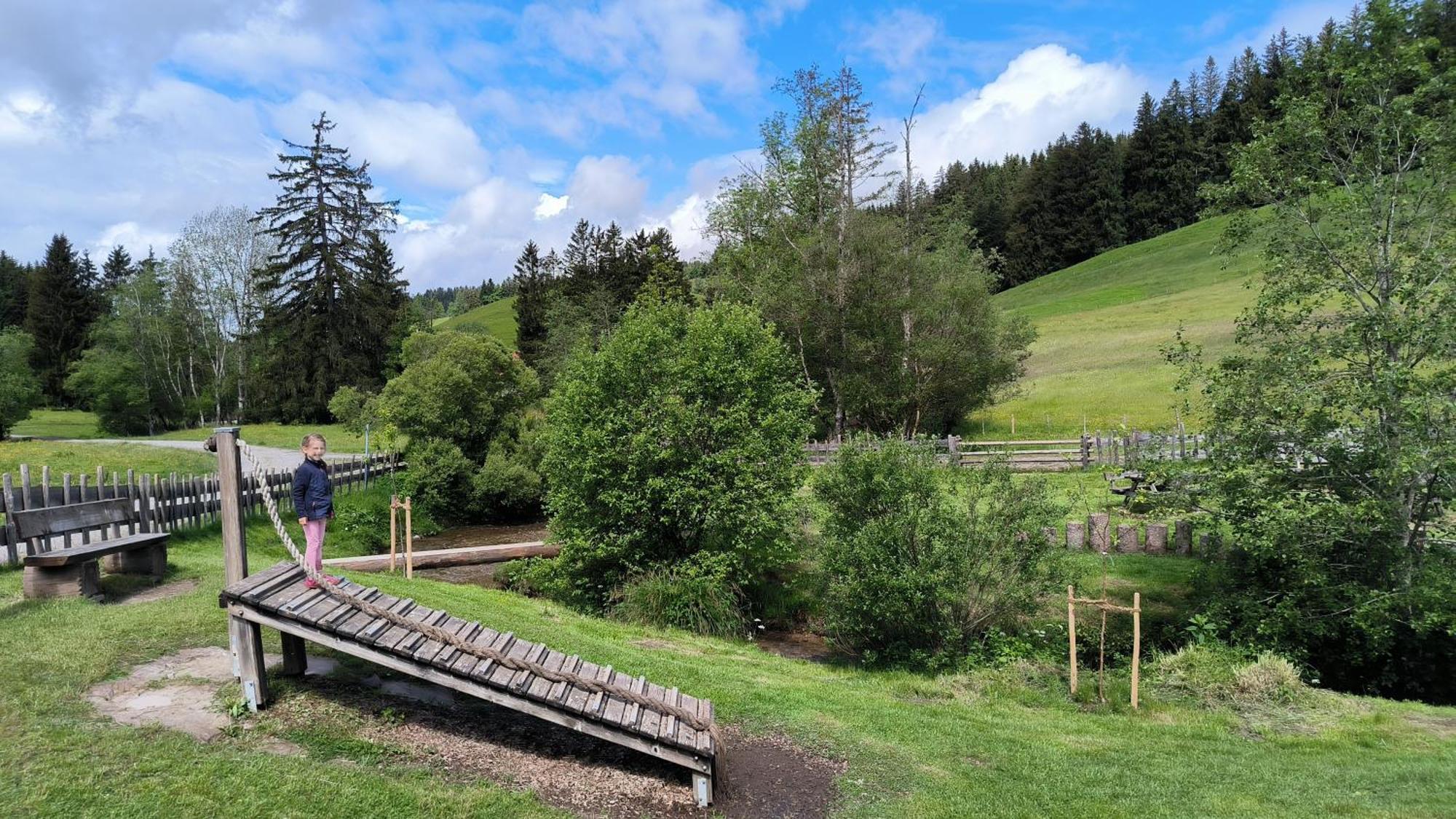 Fewo Allgaeuerle1605 Mit Hallenbad, Sauna, Tiefgarage Und Wlan Missen-Wilhams Kültér fotó